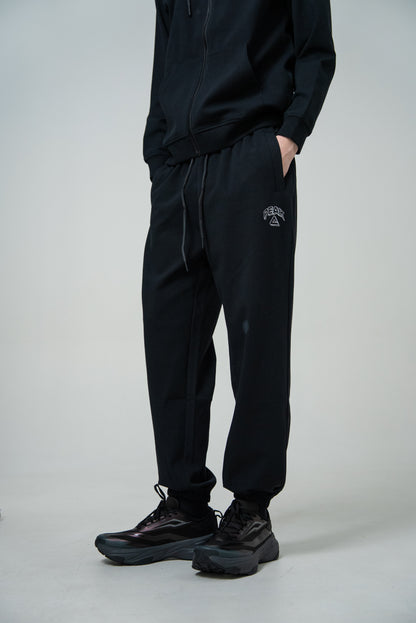 Мужские спортивные штаны Peak FWB253031 black