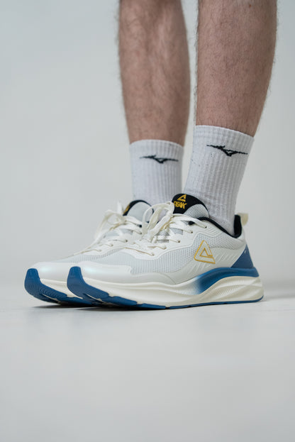 Кроссовки мужские Peak Casual EXT52571J white/blue