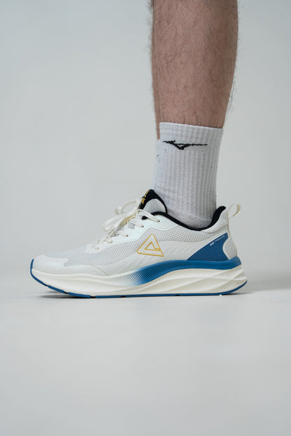 Кроссовки мужские Peak Casual EXT52571J white/blue