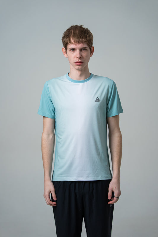 Мужская футболка для тренировок Peak FW6252161 green