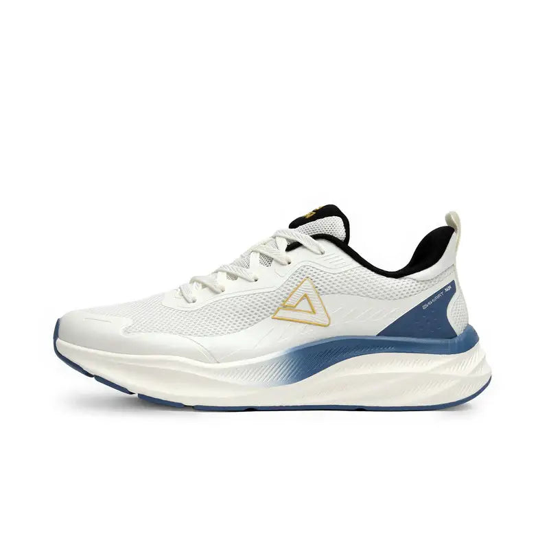 Кроссовки мужские Peak Casual EXT52571J white/blue