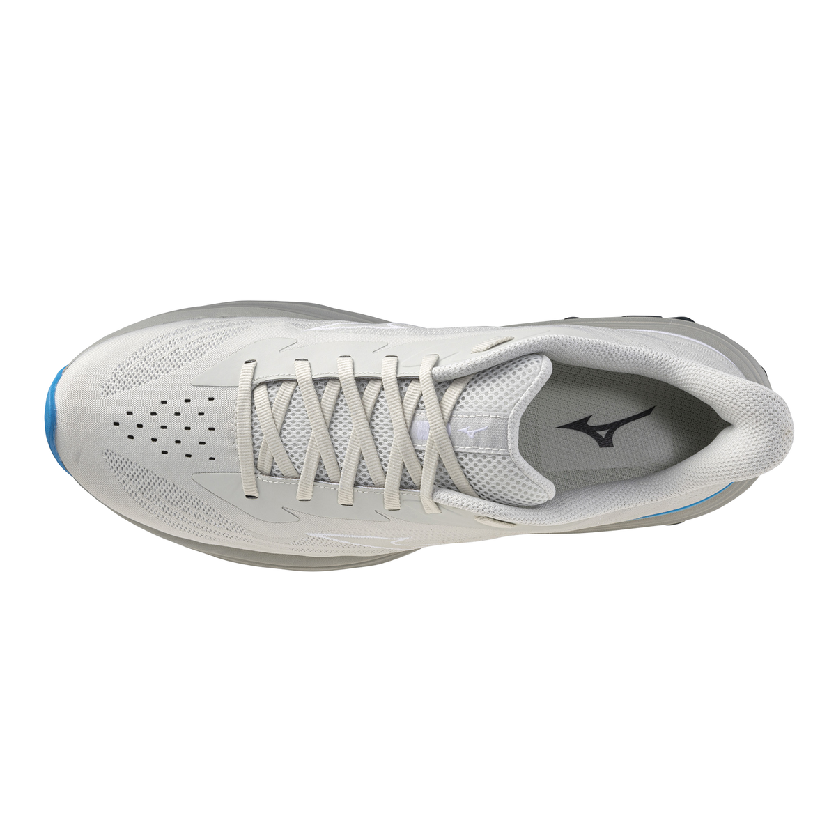 Кроссовки мужские для бега Mizuno WAVE SKYRISE 7 J1GC2609 52