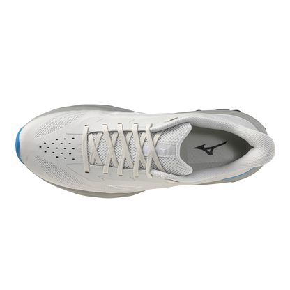 Кроссовки мужские для бега Mizuno WAVE SKYRISE 7 J1GC2609 52