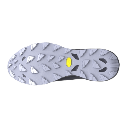 Adidași bărbați pentru trailrunning Mizuno WAVE DAICHI 9 GTX J1GJ2556 51