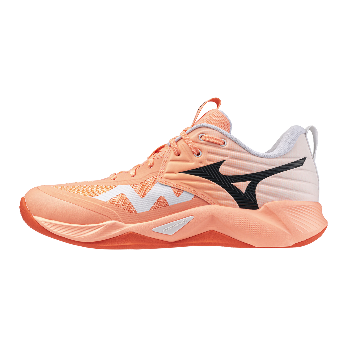 Кроссовки мужские для волейбола Mizuno MOMENTUM PRO V1GA2540 80