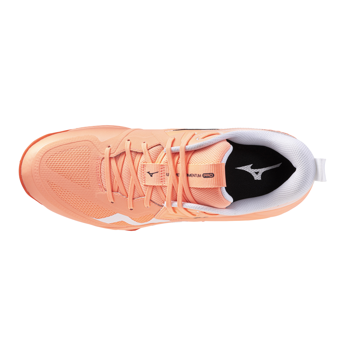 Кроссовки мужские для волейбола Mizuno MOMENTUM PRO V1GA2540 80
