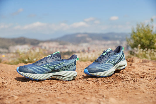 Кроссовки мужские для трейлраннинга  Mizuno Wave Rider GTX 2 J1GC2479 51