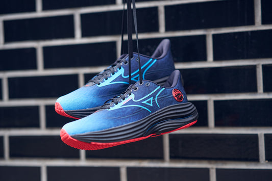 Кроссовки мужские для бега Mizuno WAVE RIDER 29 AMSTERDAM J1GC2562 01