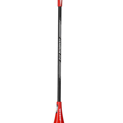 Set de rachete pentru badminton Wish Alumtec 316K