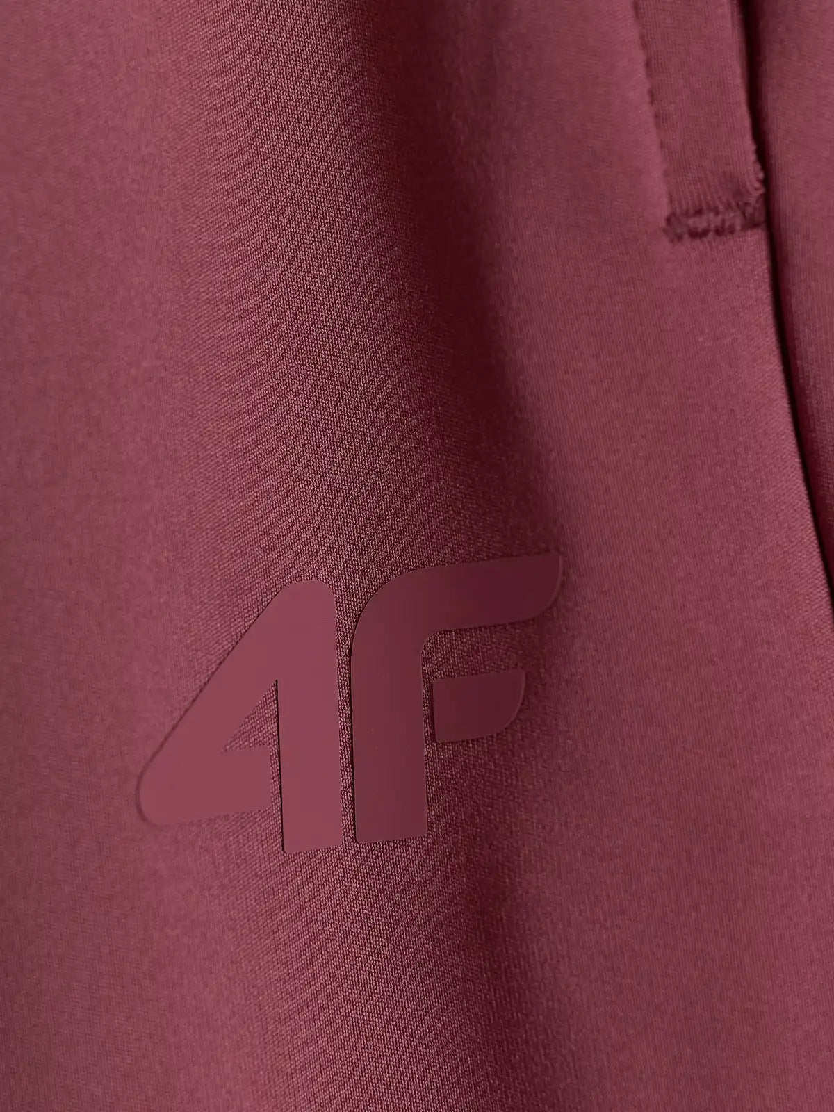 Женские спортивные штаны 4F  F1389 4FWAW26TFTRF1389 burgundy