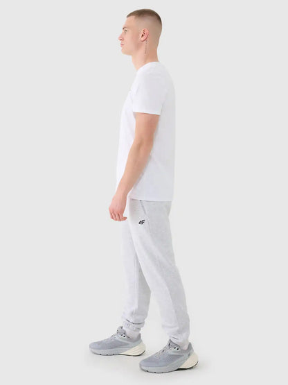 Мужские спортивные штаны 4F M1139 4FWMM00TTROM1139 grey