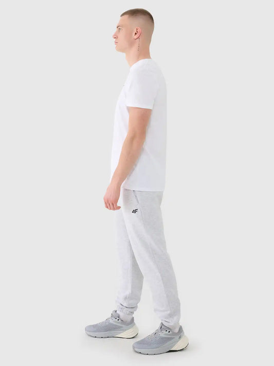 Pantaloni sport pentru bărbați 4F M1139 4FWMM00TTROM1139 grey