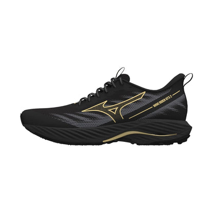 Кроссовки мужские для трейлраннинга  Mizuno Wave Rider GTX 2 J1GC2479 01