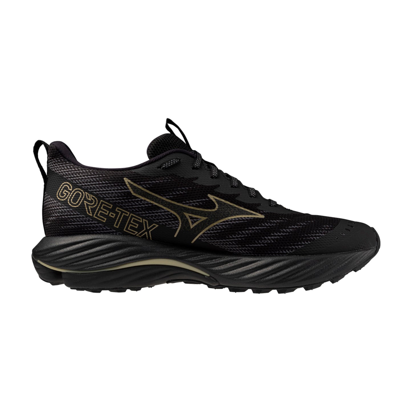 Кроссовки мужские для трейлраннинга  Mizuno Wave Rider GTX 2 J1GC2479 01