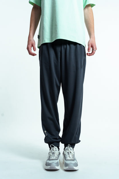 Мужские спортивные штаны Peak FW3252411 dk.grey blue