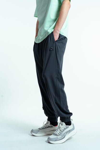 Мужские спортивные штаны Peak FW3252411 dk.grey blue