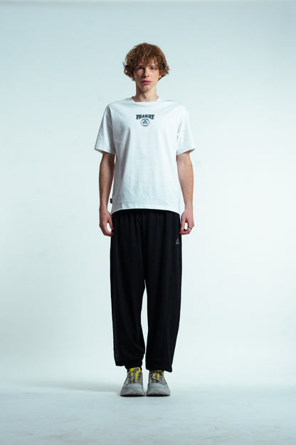 Мужские спортивные штаны Peak FW3252491 black