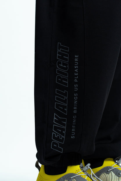Мужские спортивные штаны Peak FW3252491 black