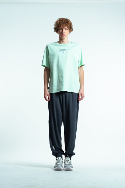 Мужские спортивные штаны Peak FW3252411 dk.grey blue