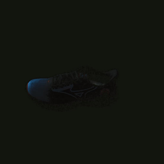 Кроссовки женские для бега Mizuno WAVE RIDER 29 AMSTERDAM J1GC2562 01