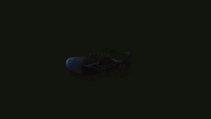 Кроссовки женские для бега Mizuno WAVE RIDER 29 AMSTERDAM J1GC2562 01