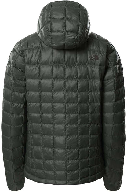 Куртка TheNorthFace  tball eco hdie thyme nf0a5glcnyc1003